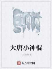 大唐神棍开局治愈