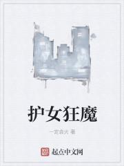护女狂魔电影血洗黑帮3