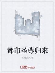 都市神尊传承都市圣尊