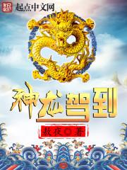 神龙驾到天燕景区交通路线