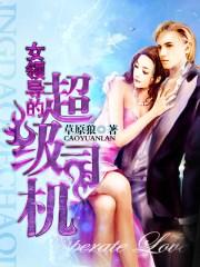 女领导的超级司机全文阅读目录无删节版