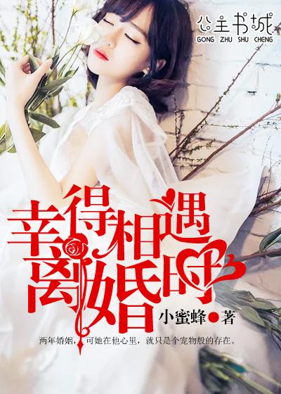幸得相遇离婚时 第2章