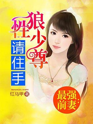 最强前妻电视剧