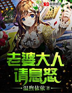 老婆大人请息怒免费阅读