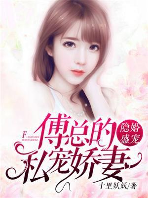 隐婚深爱傅先生请节制白烟傅崇荣