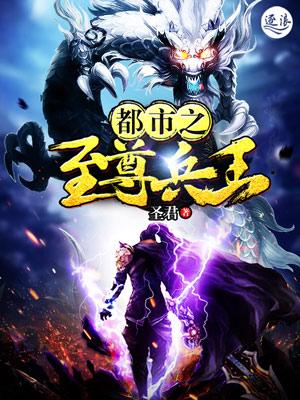 都市之至尊兵王白枫