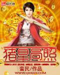 猪星高照指什么生肖
