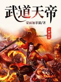 武道天帝全本TXT免费
