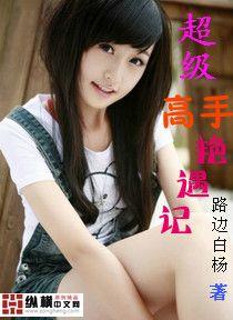 超级高手艳遇记几个老婆