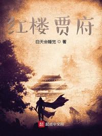 红楼贾府庶子从军