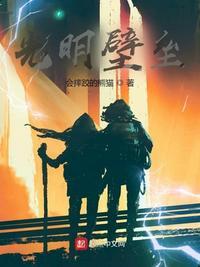 光明壁垒顾慎的能力是什么