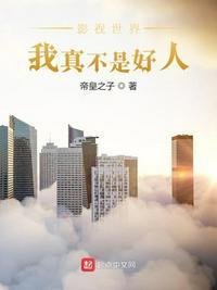 我真不是好人22k