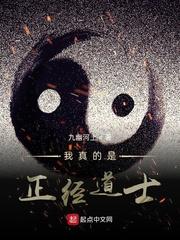 我真的是正经道士免费观看