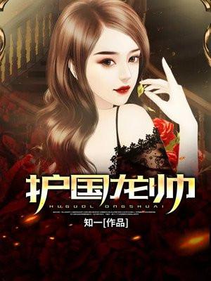 护国龙帅 电视剧