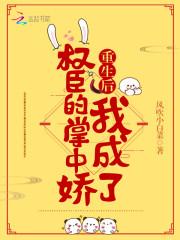南宝衣萧弈h