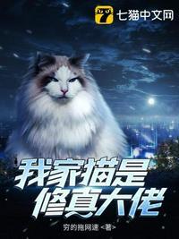 我家的猫都是大佬