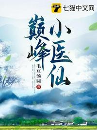 巅峰小医仙讲的啥故事