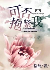 可否抱紧我王菲怀念黄家驹