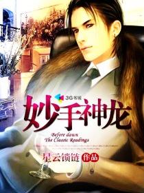 妙手神龙陈冲短剧在线观看