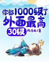 你都1000级了外面最高30级在线