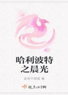 哈利波特晨光官网入口