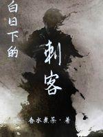 白日下的刺客作者介绍