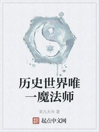 历史世界唯一魔法师评论