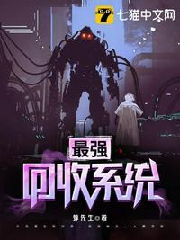 最强回收系统海贼