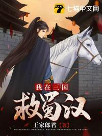 三国蜀汉传攻略