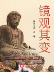 镜观其变TXT百度