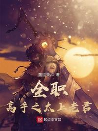 全职高手之天下