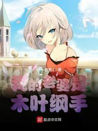 我的老婆是木叶纲手TXT