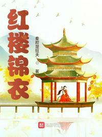 红楼锦衣卫我只手遮天txt