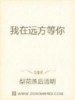 我在远方等你 等你