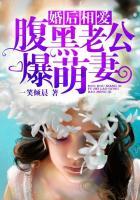 婚后相爱腹黑老公爆萌妻 字数多少