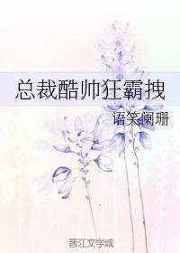 总裁酷帅狂霸拽讲了什么