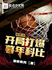 nba开局晃倒科比免费阅读