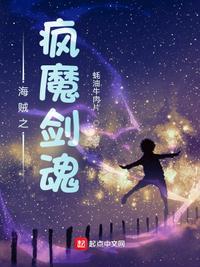 海贼之凤