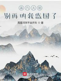 蒸汽大明资源