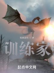 训练家类型