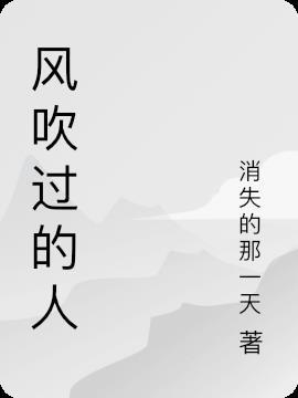 风吹过的时候是什么歌