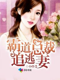 霸道总裁追逃妻第2章