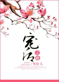 宠后之路 笑佳人好看吗