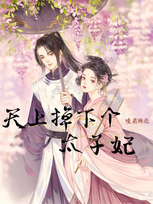 天上掉下个太子妃免费观看
