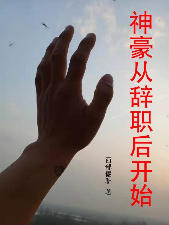 神豪从辞职开始享受人生最新章节列表