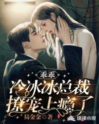乖乖冰的总裁深度宠爱