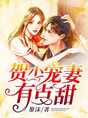 贺少宠妻有点甜许琳