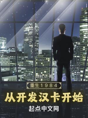 重生1984从开发汉卡开始 epub