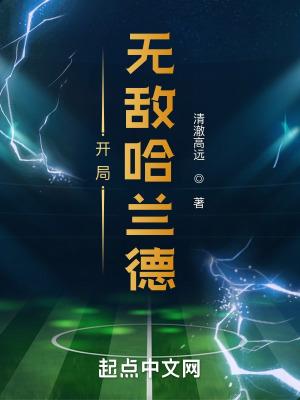 开局无敌哈兰德云盘