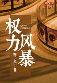 权力风暴txt电子书